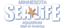 Морская Жизнь Миннесотский Аквариум   Акула туннель в аквариуме   Дата открытия 1996 Место   Молл Америка   ,   Bloomington   ,   Миннесота   , Соединенные Штаты   Координаты   44 ° 51′15 ″ с
